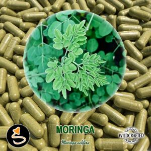 Moringa 25 Kapseln