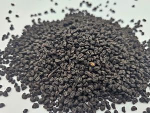 Morning Glory Seeds Purple 10g