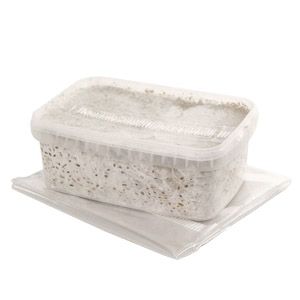 Cubensis Mexican Growbox