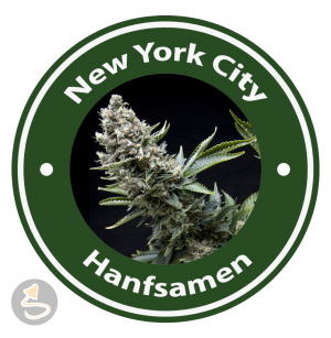 New York City Autoflowering