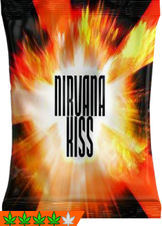 Nirvana Kiss 3g