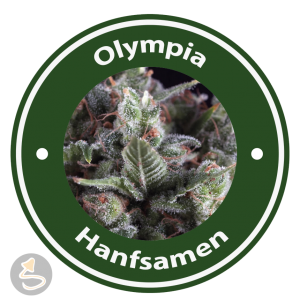 Olympia Autoflowering