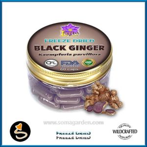 Black Ginger (Kaempferia parviflora) Kapseln