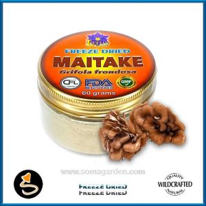 Maitake (Grifola frondosa) Powder