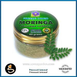 Moringa (Moringa oleifera) Powder