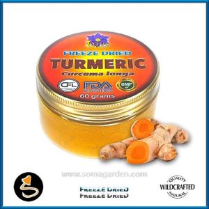 Turmeric (Curcuma longa) Powder