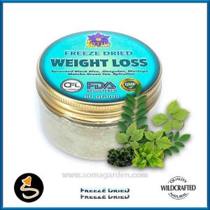 Weight Loss Powder