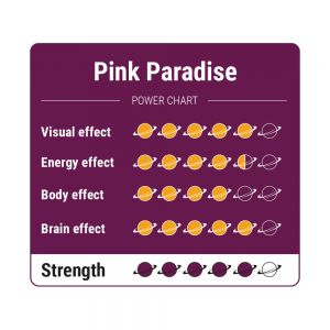 Pink Paradise Trüffel