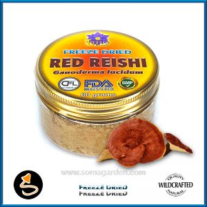 Red Reishi (Ganoderma lucidum) Pulver