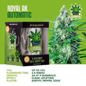 Royal AK Auto iGrowCan