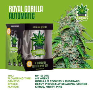 Royal Gorilla USA Auto iGrowCan
