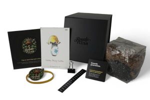 Royale Flush Mexicana Growkit