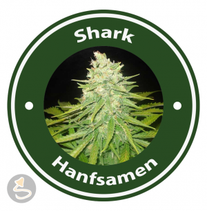 Shark Autoflowering