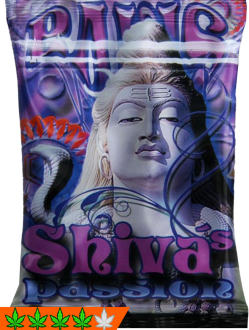 Shivas Passion 3g Räuchermischung