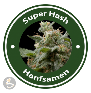 Super Hash Autoflowering