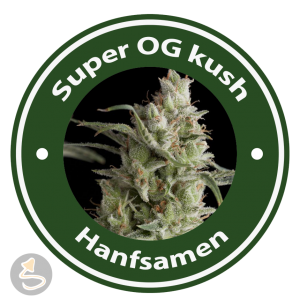 Super OG kush Hanfsamen