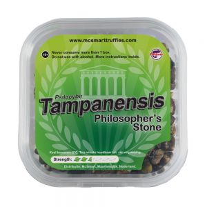 Stein der Weisen (Psilocybe Tampanensis)