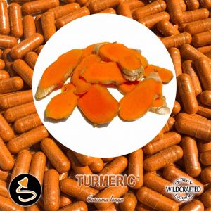 Turmeric - Gelbwurz 25 Kapseln