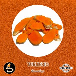 Turmeric - Gelbwurz Pulver 10g