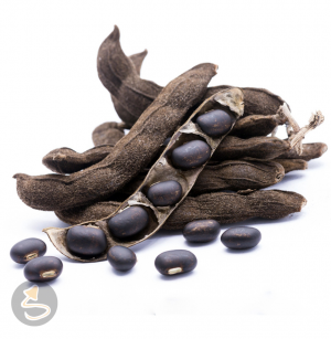 Juckbohne (Mucuna Pruriens)