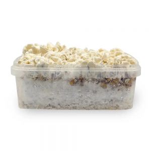 Waikiki Waves Growkit 1200cc