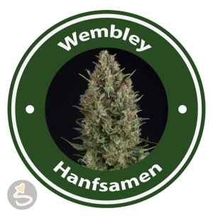 Wembley Autoflowering