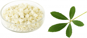 Weißer Copal (Copal Blanco) 25g