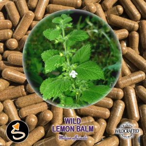 Wild Lemon Balm - Zitronenmelisse 25 Kapseln