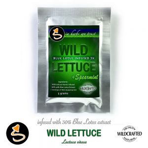 Wild Lettuce leafs infused mit 30% Blue Lotus Extrakt und Minze