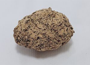 Yellow Herbal Moonrock