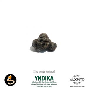 Yndika (Blend of 11 Herbs) 30x Resin Extract