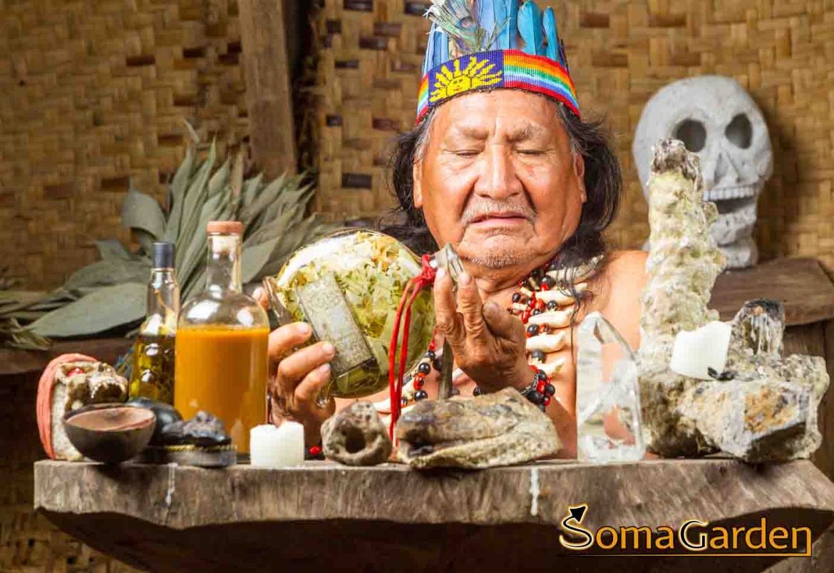 Wie funktioniert eine Ayahuasca Zeremonie?