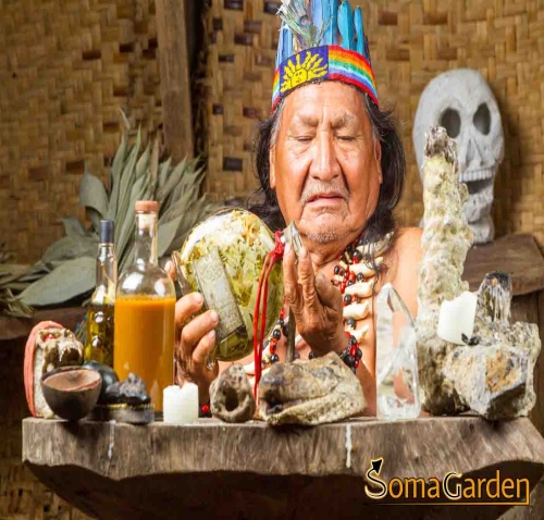 Wie funktioniert eine Ayahuasca Zeremonie?