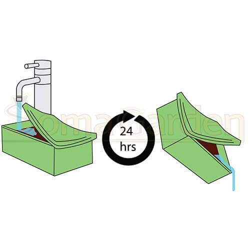 Magic Mushroom Growbox mit Wasser